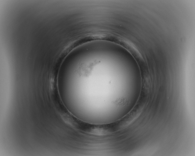 X0000115480596200911131217