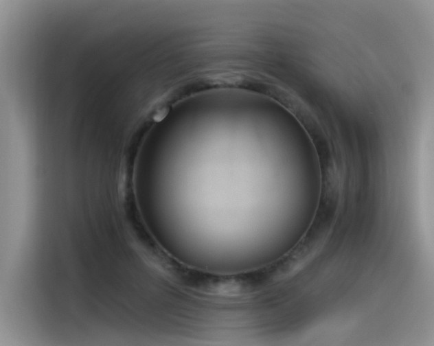 X0000115480600200911131217