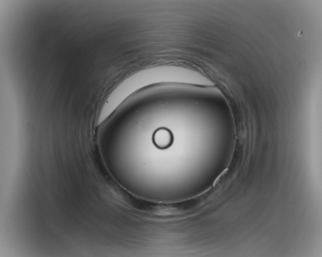 X0000115480605200911131217