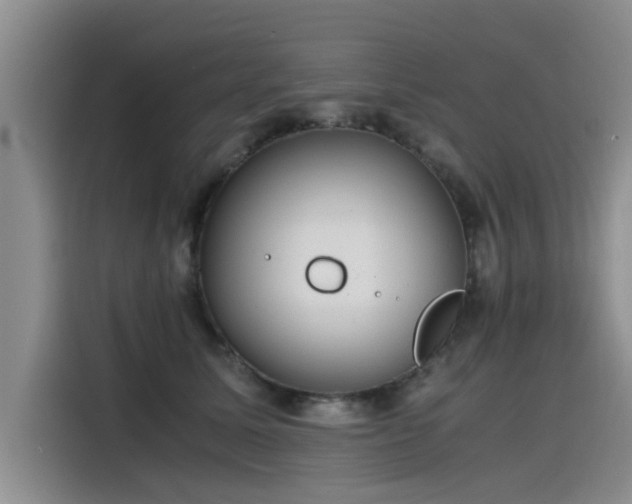 X0000115480611200911131217