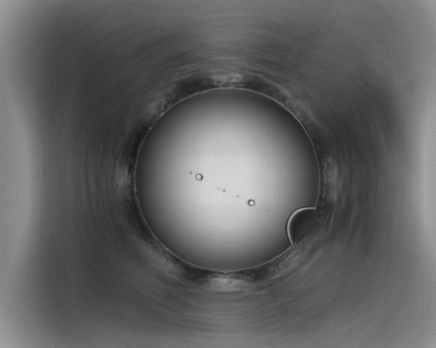 X0000115480614200911131217