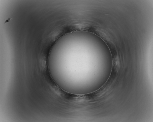 X0000115480615200911131217