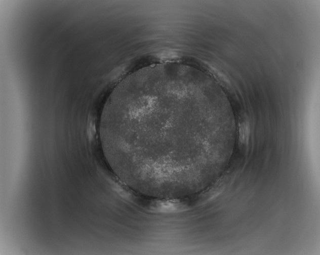 X0000115480618200911131216