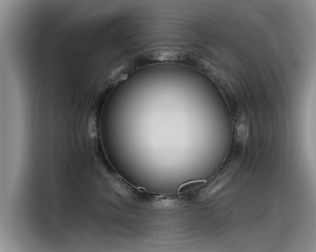 X0000115480620200911131216