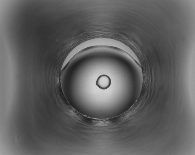 X0000115480621200911131216