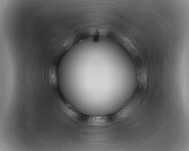 X0000115480622200911131216