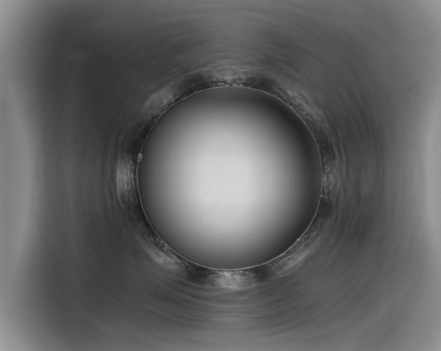 X0000115480623200911131216