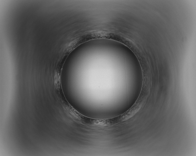 X0000115480624200911131216