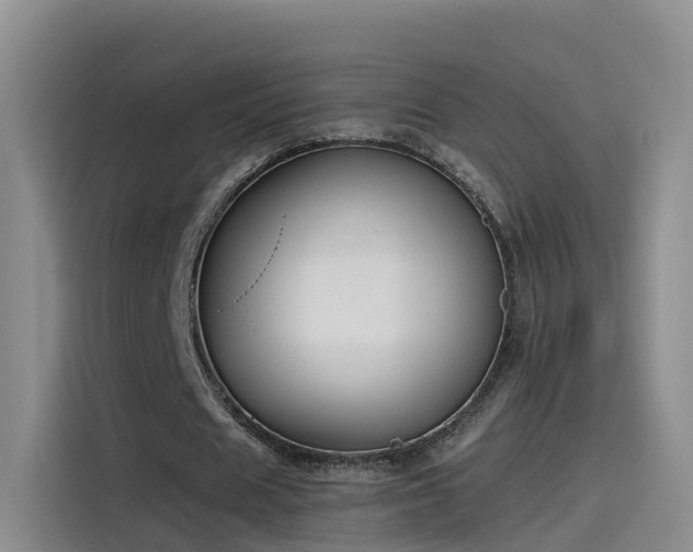 X0000115480625200911131216