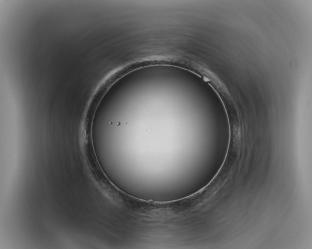 X0000115480628200911131216