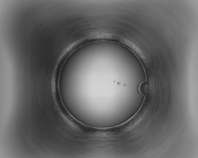 X0000115480629200911131216