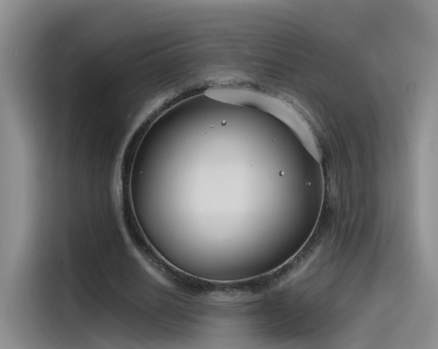 X0000115480630200911131216