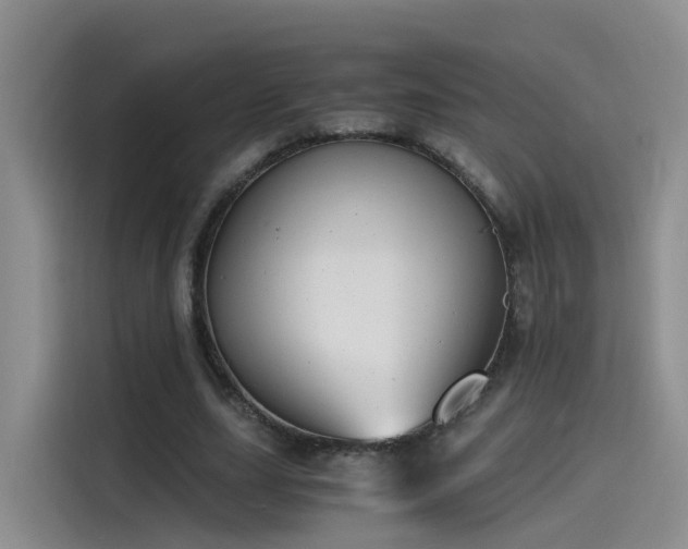 X0000115480631200911131216