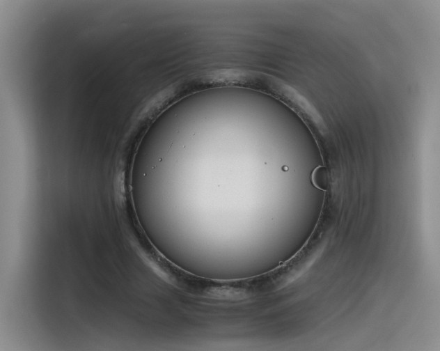 X0000115480633200911131216