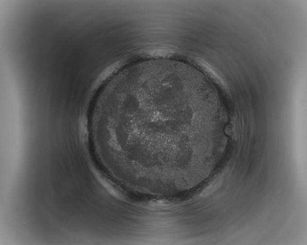 X0000115480634200911131216