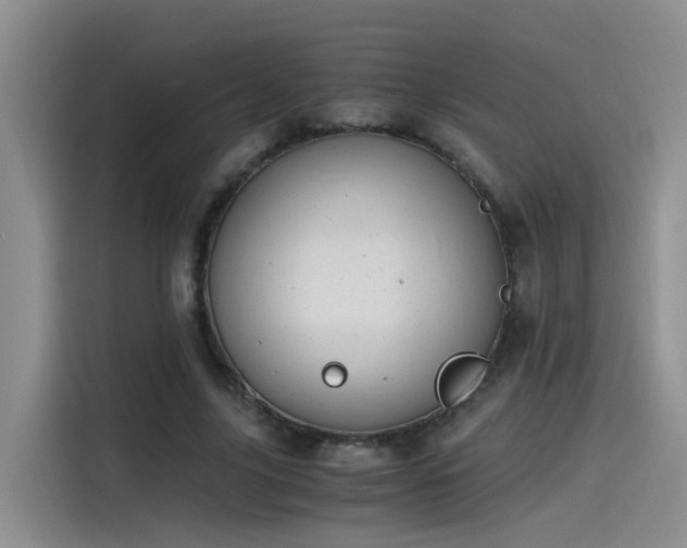 X0000115480635200911131216