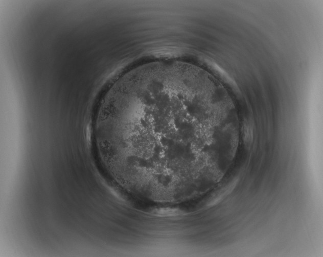 X0000115480637200911131216