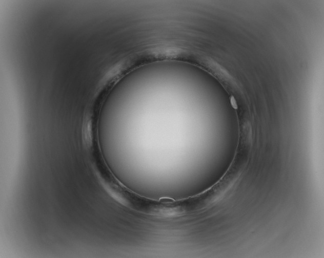 X0000115480638200911131216