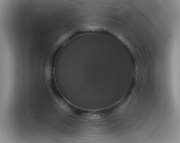 X0000115480640200911131216