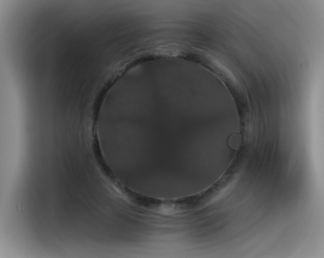 X0000115480641200911131216