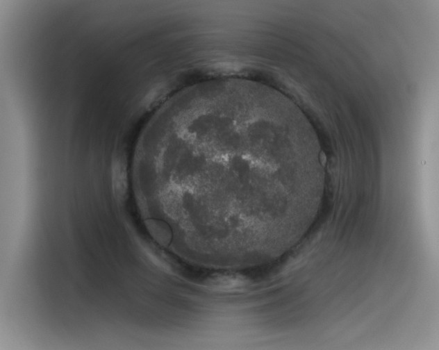 X0000115480642200911131216