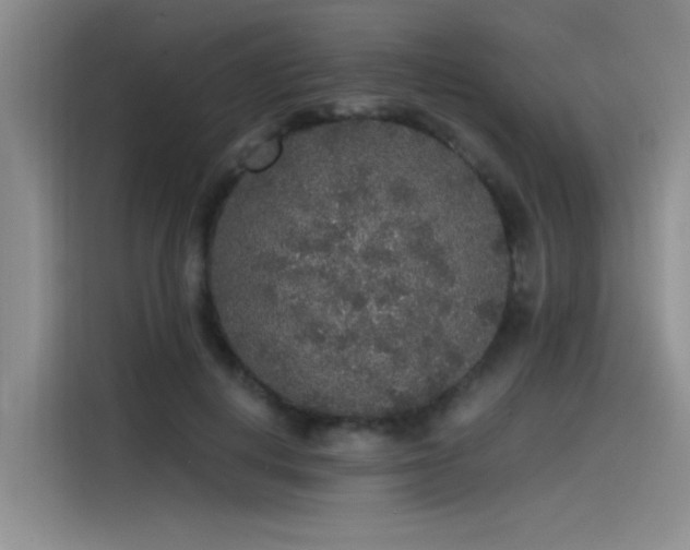 X0000115480648200911131216