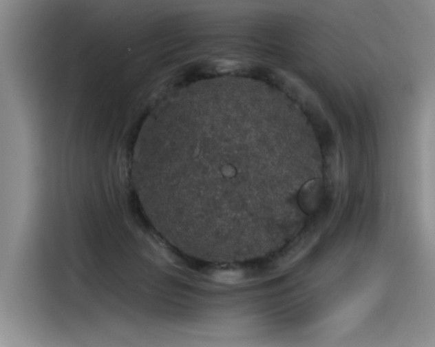 X0000115480653200911131216