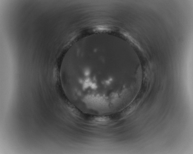 X0000115480659200911131216