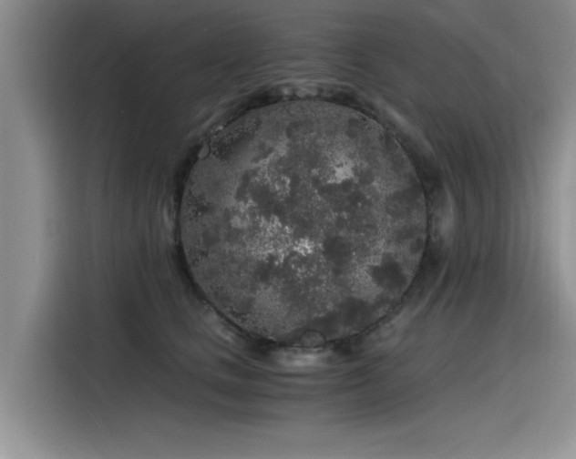 X0000115480661200911131216