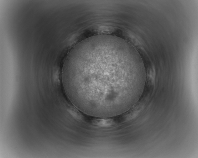 X0000115480663200911131216