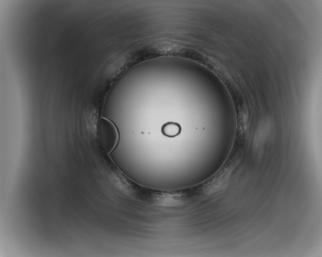 X0000115480664200911131216