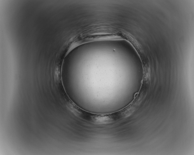 X0000115480669200911131216