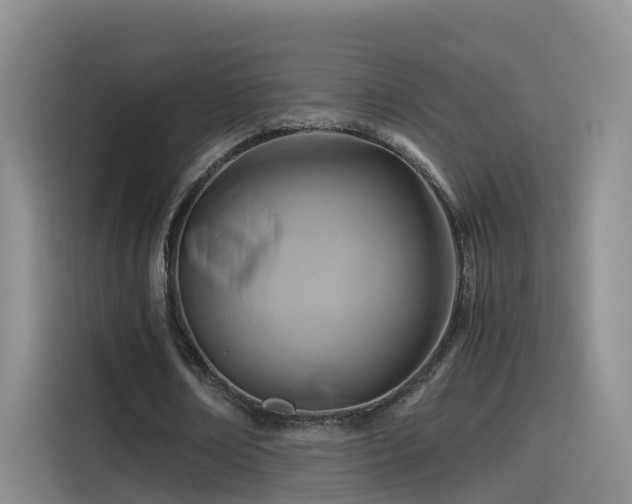 X0000115480674200911131216