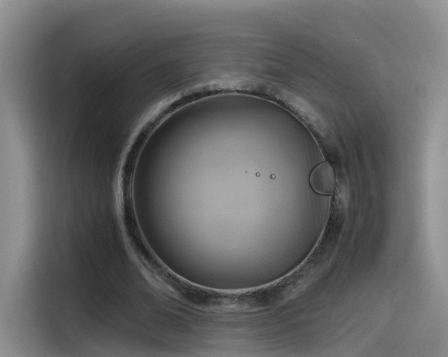 X0000115480678200911131216