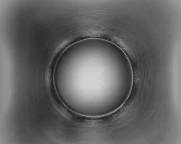 X0000115480679200911131216