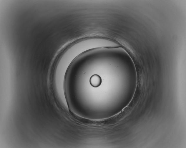 X0000115480680200911131216