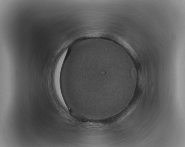 X0000115480681200911131216