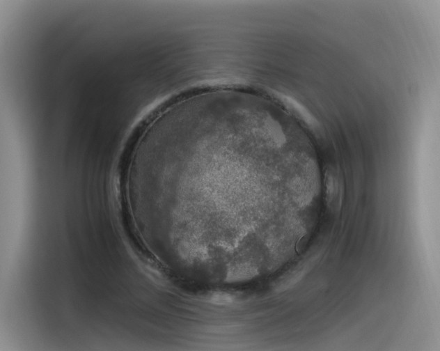 X0000115480684200911131216