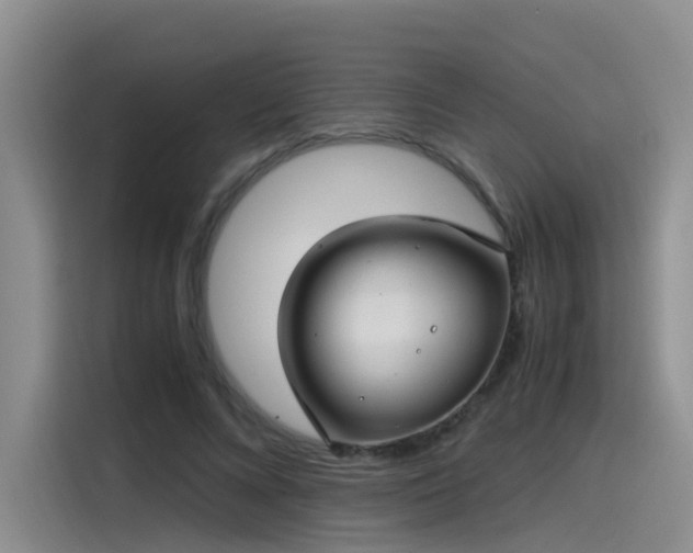 X0000115480688200911131216