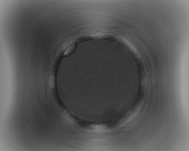 X0000115480689200911131216