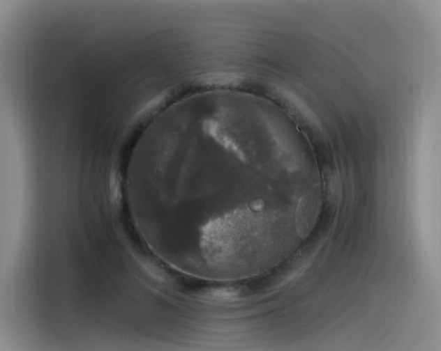 X0000115480692200911131216