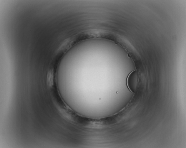 X0000115480694200911131215