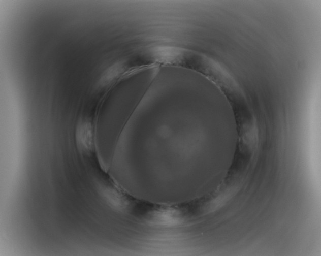 X0000115480696200911131215