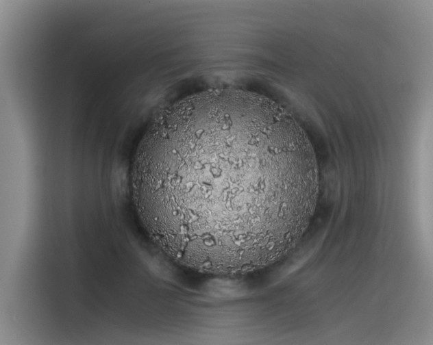 X0000115480699200911131215