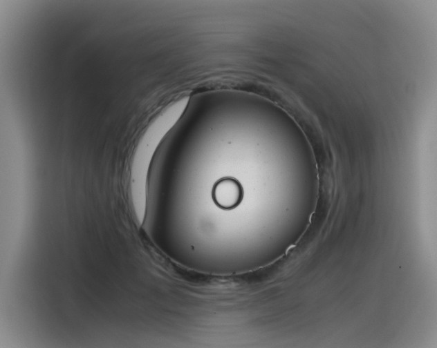 X0000115480701200911131215