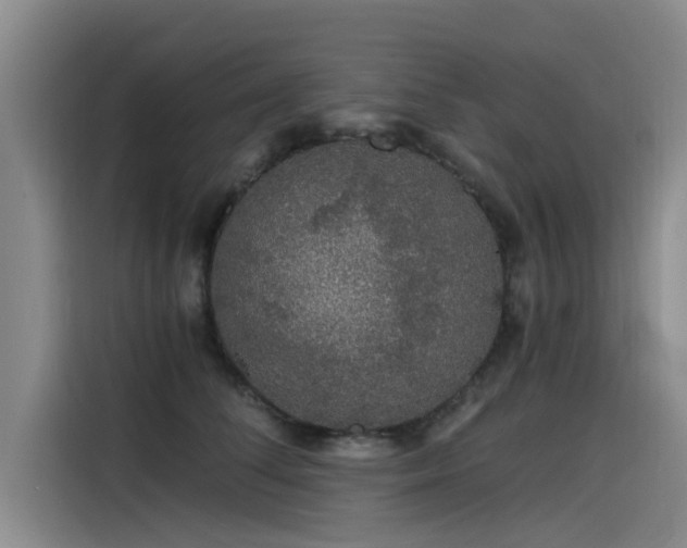 X0000115480708200911131215