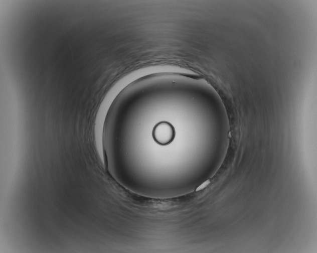 X0000115480709200911131215