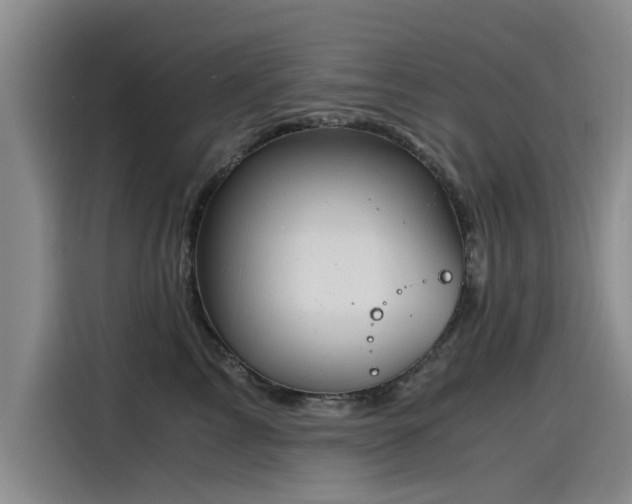 X0000115480713200911131215