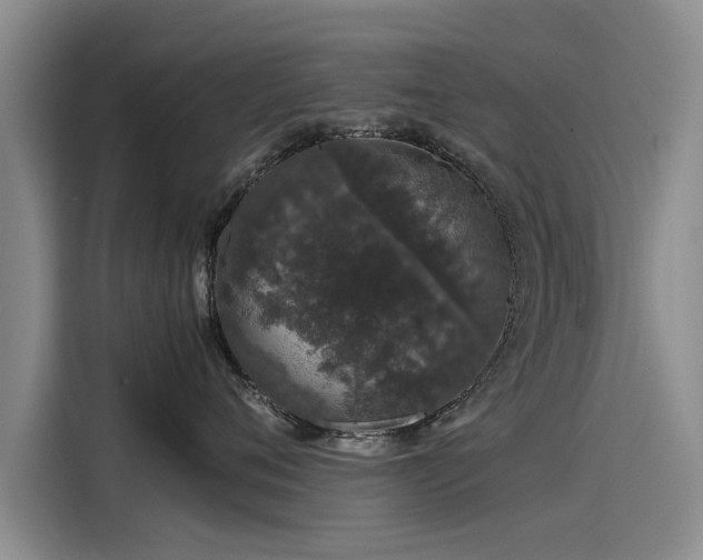 X0000115480720200911131215