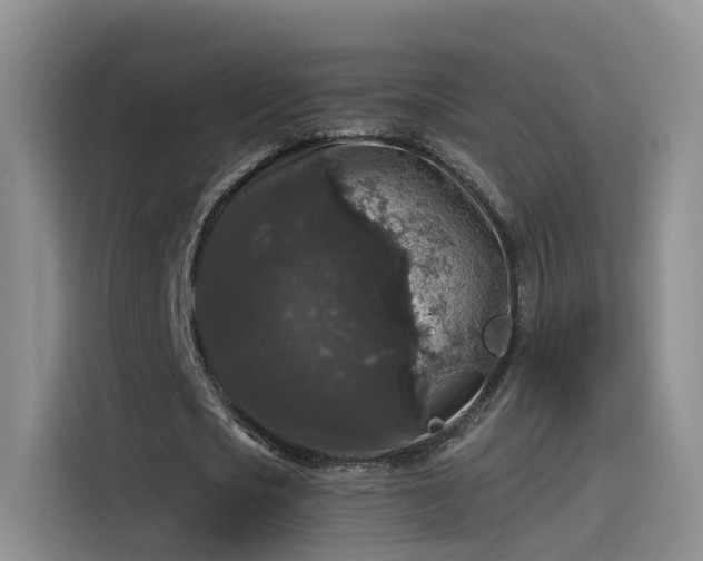 X0000115480721200911131215